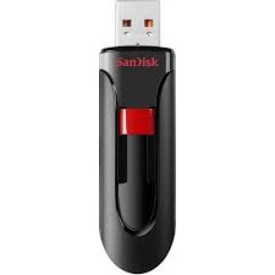 256GB SanDisk Flash Drive