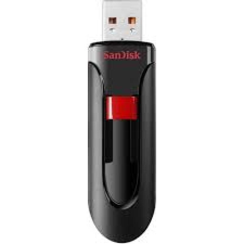 256GB SanDisk Flash Drive